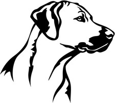 Rhodesian ridgeback aufkleber - rhodesian,