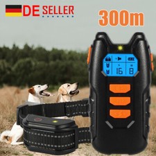 300m Hund Ausbildung