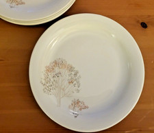 5 x Arzberg Form 8400