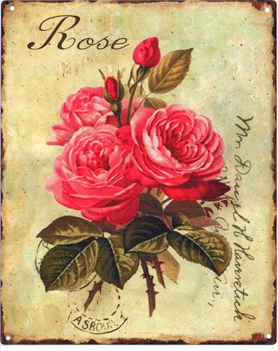 Deko blechschild rose - deko,