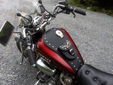 (S) YAMAHA VIRAGO XV 1100 1000 LEDER TANK Abdeckplatte Riemen Chap Pad Bra Bib