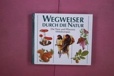 333735 WEGWEISER DURCH DIE