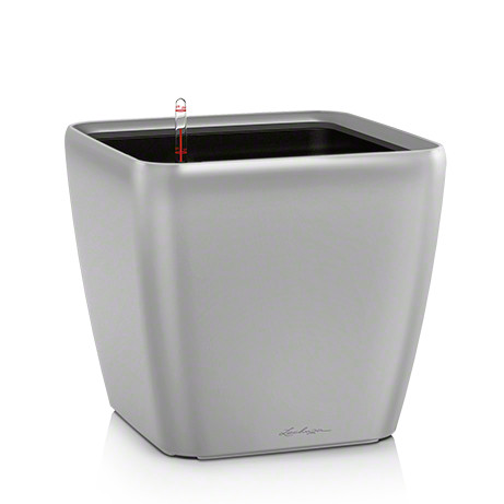 Lechuza quadro premium 21 - quadro,