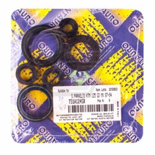 Motor Simmerringe KTM