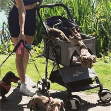 Hundebuggy hundewagen bis - hundewagen,