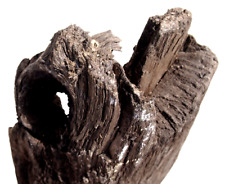 Subfossile Mooreiche aus Kiesgrube, Baumstamm, Skulptur, Holz, Deko, 126 cm lang