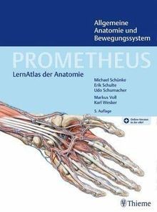 Prometheus allgemeine anatomie - allgemeine,