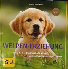 Welpen-Erziehung: Der 8-Wochen-Trainingsplan für Welpen