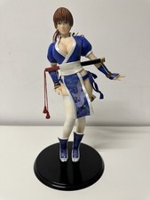 Dead or Alive 5 Kasumi