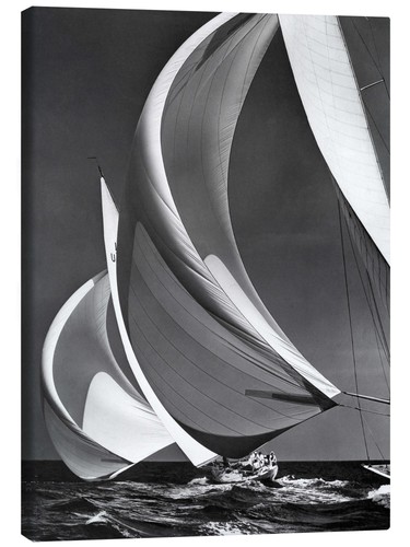 Leinwandbild spinnaker auf - leinwandbild,