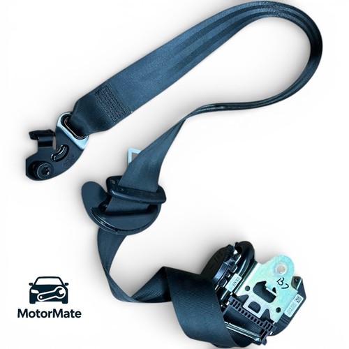Ford focus line - focus, st-line