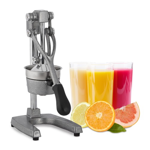 Saftpresse manuell