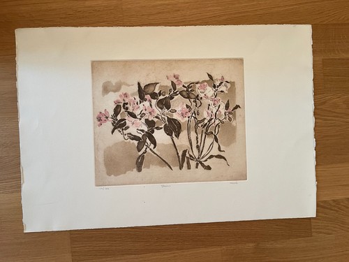 Original farbradierung - original,