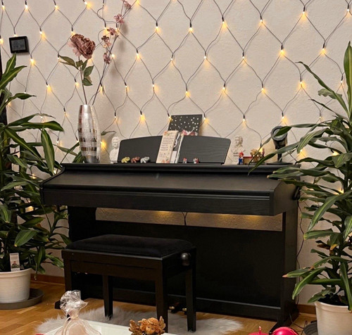 Dp50 digitalpiano heimklavier - digitalpiano,