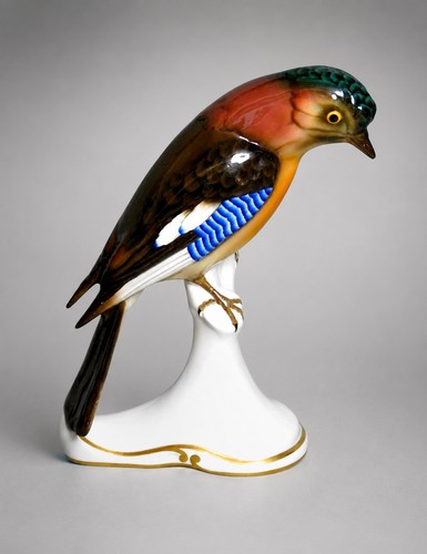 Zeh scherzer vogel nusshäher - zeh,