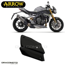 Auspuff Triumph Speed Triple