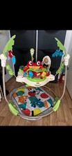 Fisher Price Rainforest