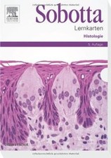 Sobotta Lernkarten Histologie von Bräuer, Lars, Scholz, ... | Buch | Zustand gut