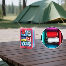 4x Eisbeutel Wiederverwendbar