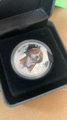 2018 puppies beagle tuvalu - 2018,