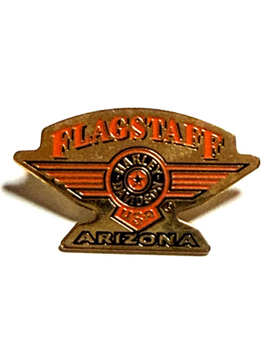 Pin harley davidson - pin,