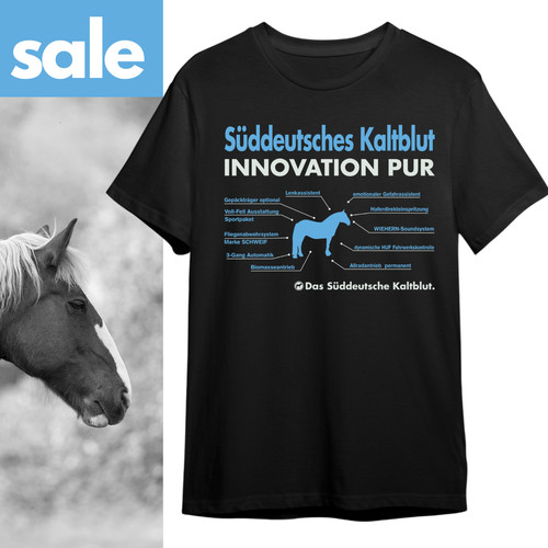 Sale süddeutsches kaltblut - sale,