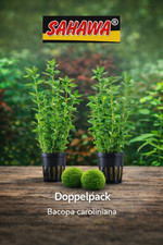 2er Set  Wasserpflanzen Bacoba