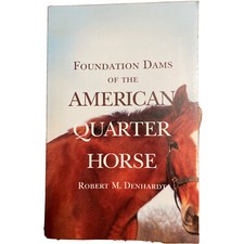 Foundation dams the - of,