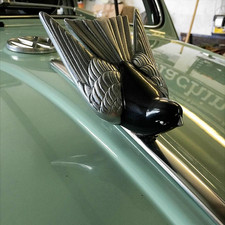 Vogel Talisman Motorhaube