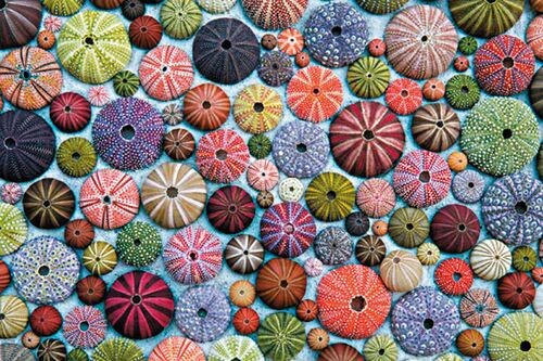 Puzzle bunte - (1000, t.)