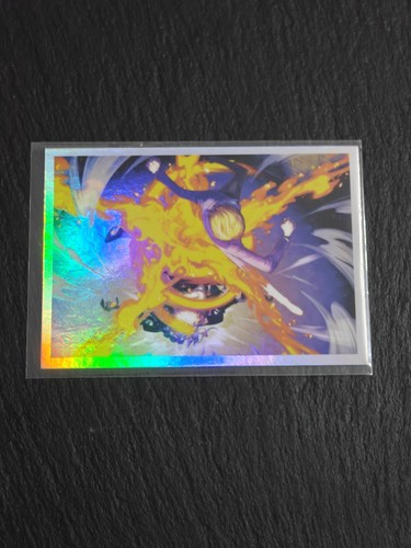 Panini one piece 25th - one,