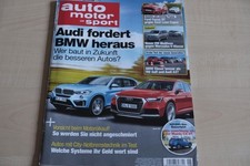 1) Auto Motor Sport AMS