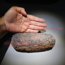 OVIRAPTOR RAPTOR DINOSAURIER