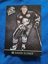 David Elsner Nürnberg Ice Tigers