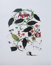 Salvador DALI: Passiflore