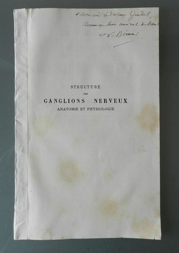 Nervenknotenstruktur a - nervenknotenstruktur,