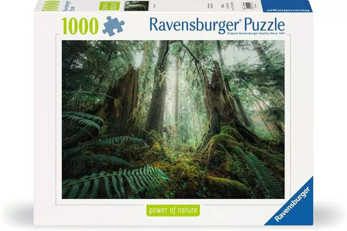 Ravensburger 17494