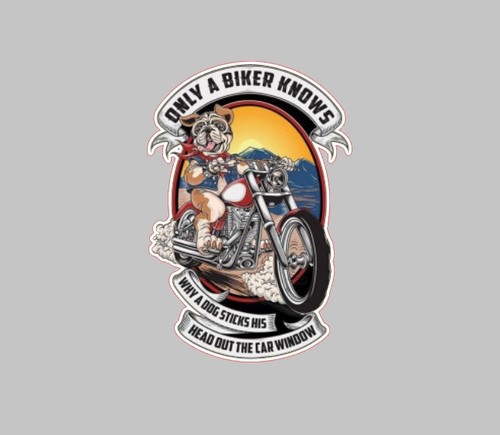 Hund biker oldtimer - hund,