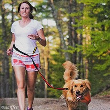 Freihand-Hundeleine mit