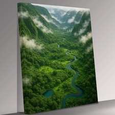 Nebeliges Regenwaldtal