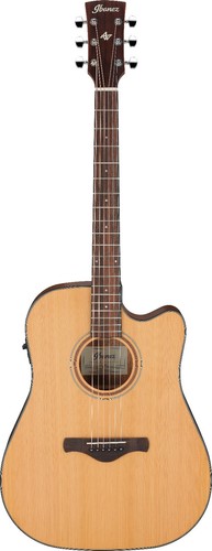 Ibanez aw65ece natural - -,