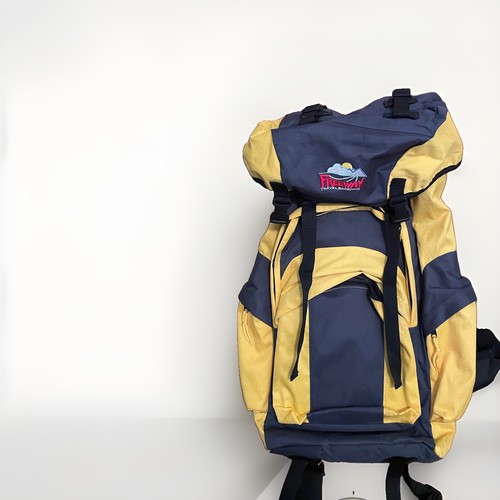 Freeway travel backpack - travel,
