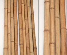 Bambusrohr 200cm gelbbraun