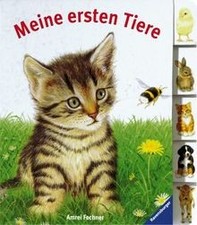Meine ersten Tiere von Amrei Fechner | Buch | Zustand gut