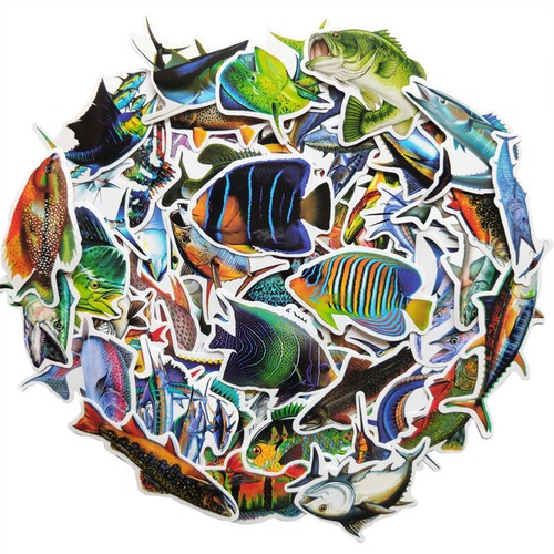 Stück bunte fische - bunte,