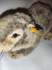 Steiff 071362 Murmeltier Biber