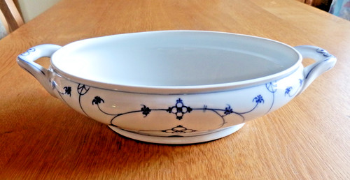 Indisch blau strohblume ovale - indisch,