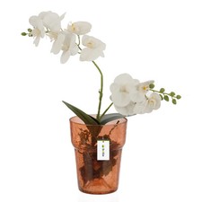 Blumentopf Blumenübertopf Glas für Orchideen Orchideentopf D 15,5cm H 18cm Orang