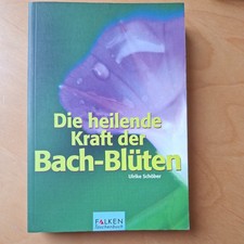 Die heilende Kraft der