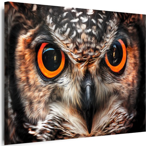 Leinwand bilder tiere eule - bilder,